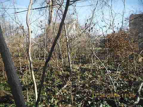 13304 Lauder (6)_m.jpg